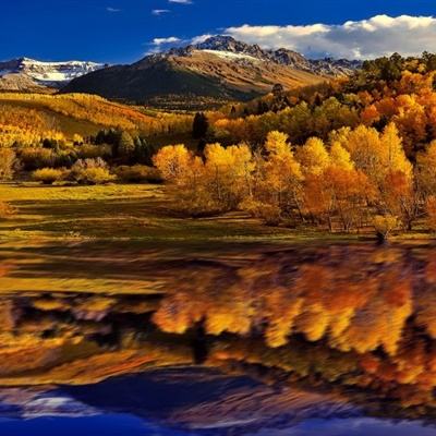 赢三张免费游戏app下载