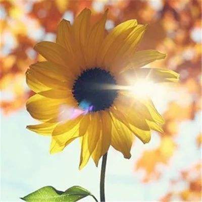 赢三张免费游戏app下载